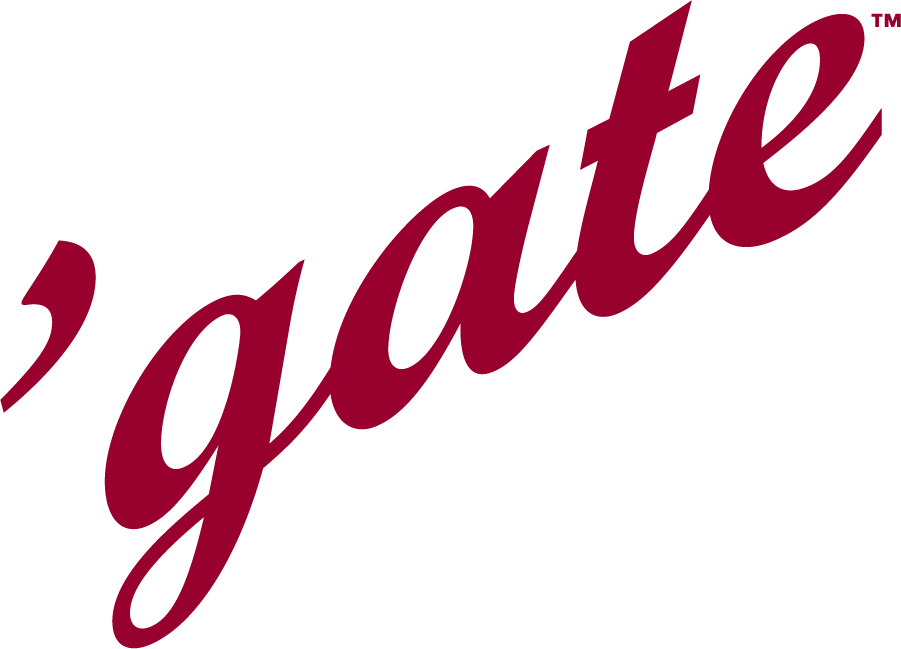 Colgate Raiders 2006-2020 Wordmark Logo v2 diy iron on heat transfer
